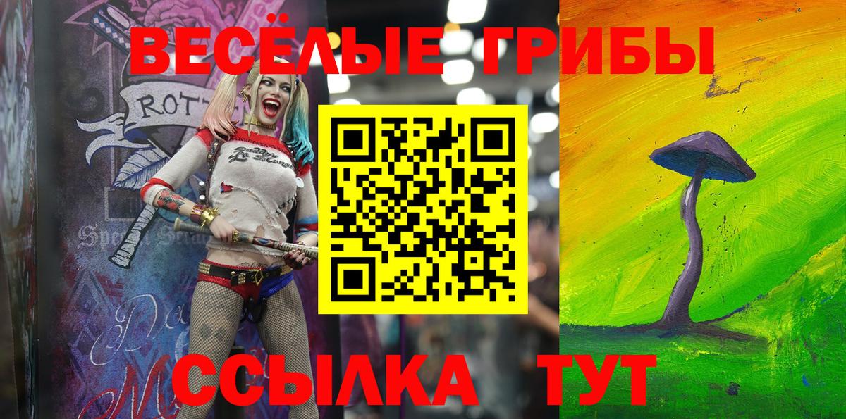 Галлюциногенные грибы Psilocybe  Псилоцибиновые грибы мицелий  Вход с VPN  Ногинск 